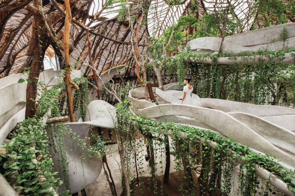 Person walking inside lush, treehouse-like structure.